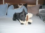 joy-at-her-1st-playdate-024