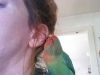 Bird Sitting in Phx with Heidi's Historic Home & Pet Care7