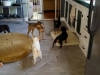 Doggie Day Care with Heidi's Historic Home & Pet Care3