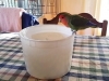 In Home Pet Sitting Heidis Historic Home & Pet Care8