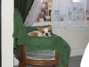 cage-free-dog-boarding-phoenix