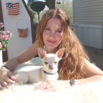 Contact Heidi's Historic Home & Pet Care for Phx Pet Sitting, Phx Dog Walking, Phx Dog Boarding, And Phx Doggie Day Care... Heidi was voted the #1 Pet Sitter in All of Arizona!