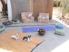 Phx Doggie Day Care, Phx Dog Boarding, Dog Boarding Phx Arizona