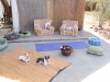 Phx Doggie Day Care, Phx Dog Boarding, Dog Boarding Phx Arizona