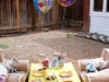 Phx Pet Parties, Phx Doggie Day Care, Doggie Play Dates Phx, Dog Boarding Phx0